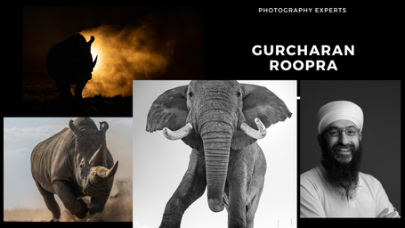 Introducing Gurcharan
